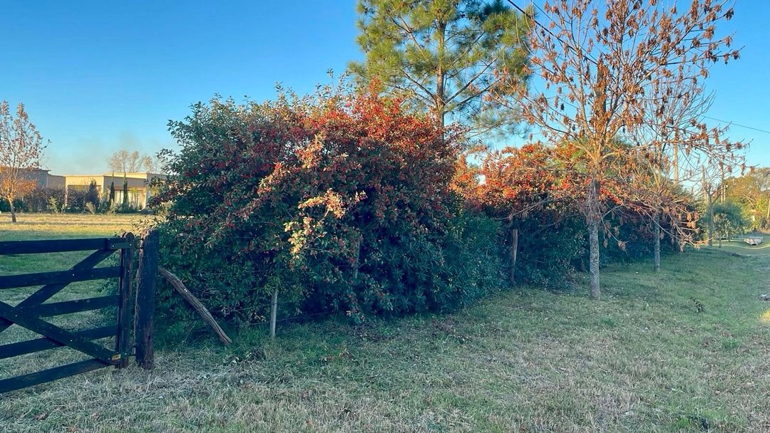 TERRENO EN VENTA EN MERCEDES, BARRIO HÍPICO