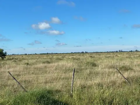 Campo en Venta en Monje, San Jerónimo