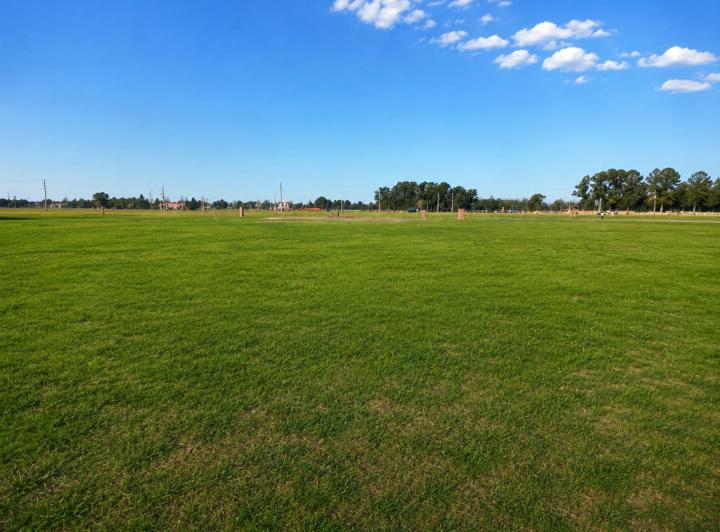 Terreno · 1002m²
