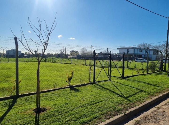Terreno · 655m²