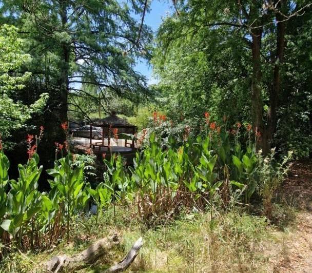 Terreno · 210m²