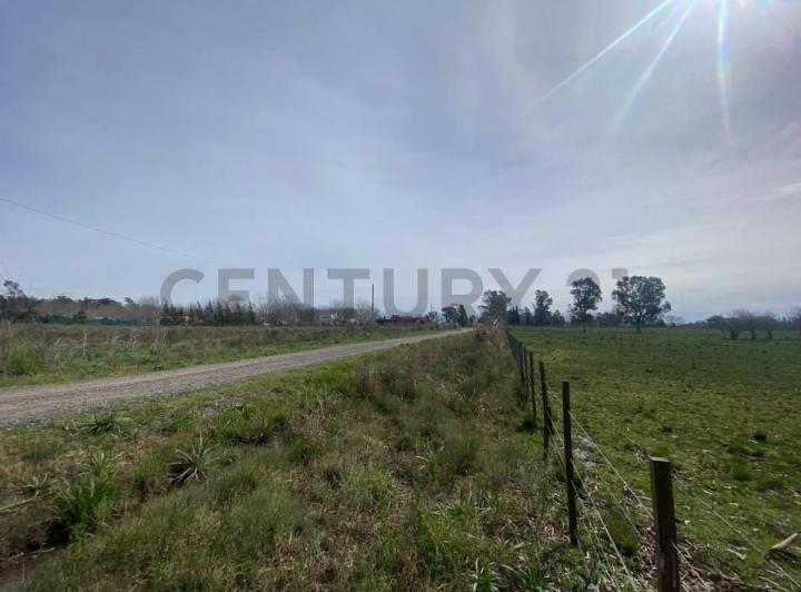 Terreno · 43814m²