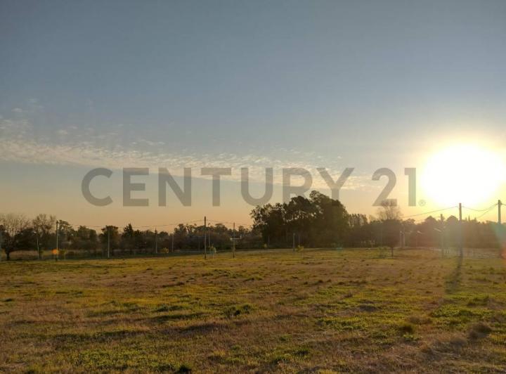 Terreno · 381m²