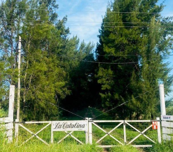 Terreno · 80m² · 3 Ambientes