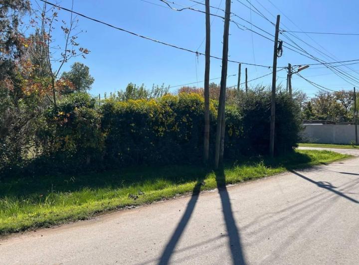 Terreno · 30m²