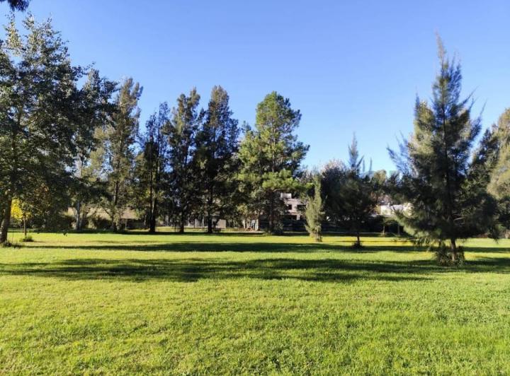 Terreno · 1438m²
