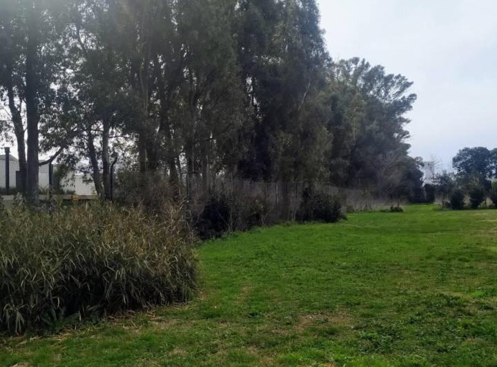 Terreno · 1320m²