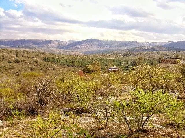 LOTE FLOR SERRANA A DOS CUADRAS DEL RIO