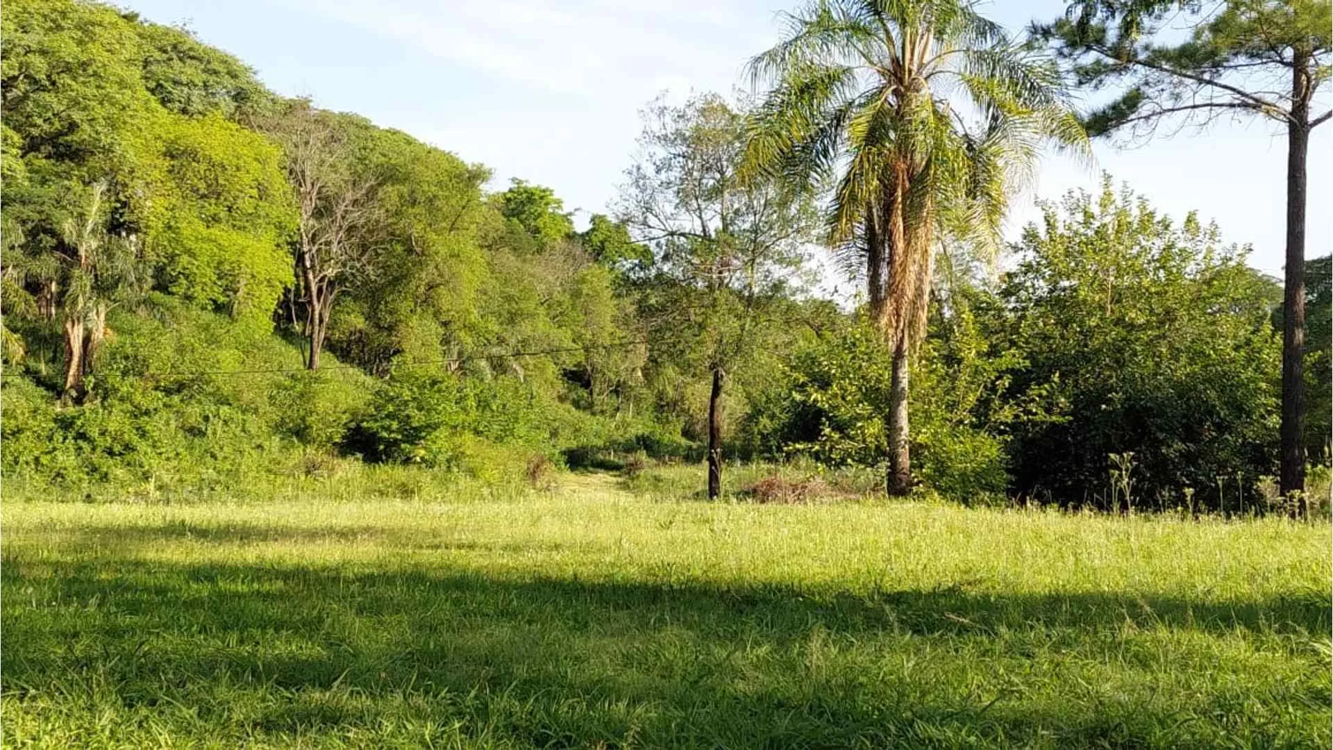 LA ARBOLEDA - TERRENO EN VENTA