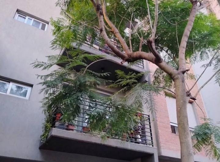 Departamento · 33m² · 1 Ambiente