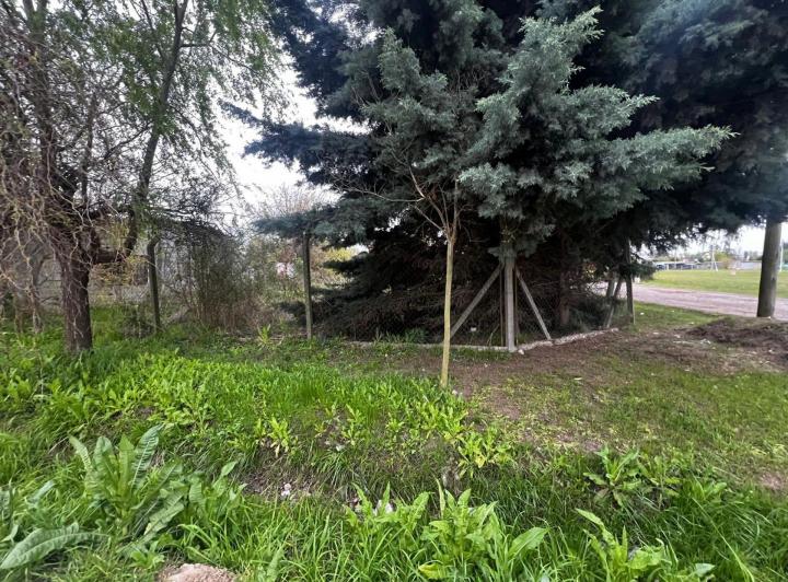 Terreno · 632m²