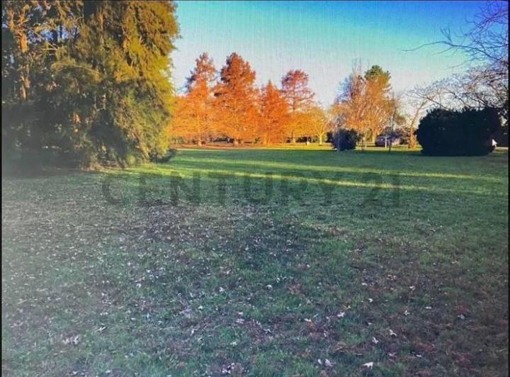 Terreno · 3950m²