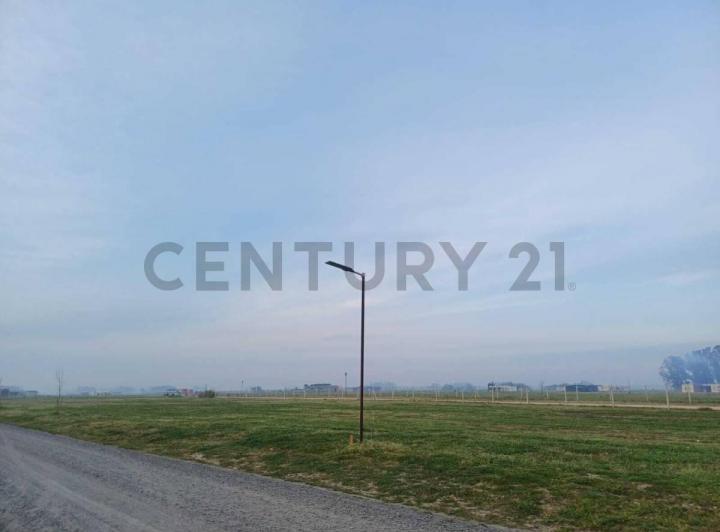 Terreno · 1000m²