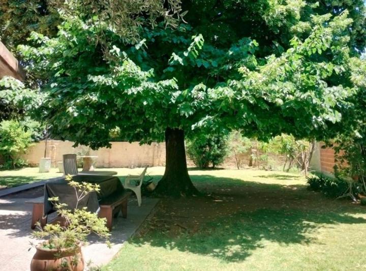 Terreno · 1006m²