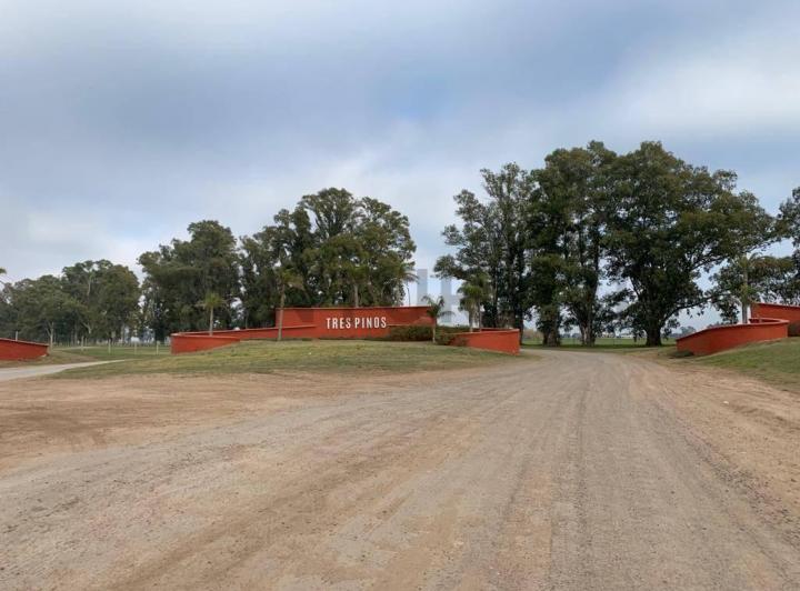 Terreno · 1000m²