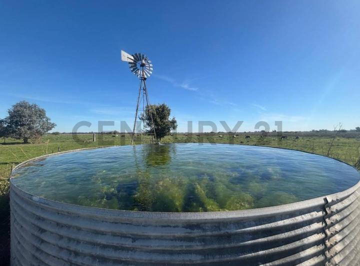 Terreno · 61m²