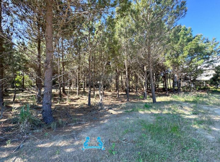 Terreno · 1000m²