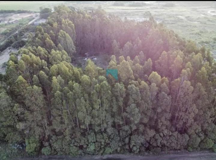 Terreno · 10000m²