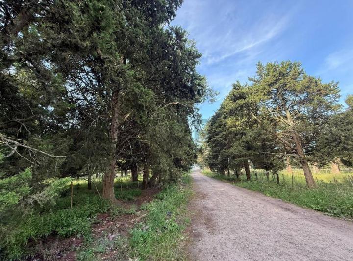 Terreno · 2448m²