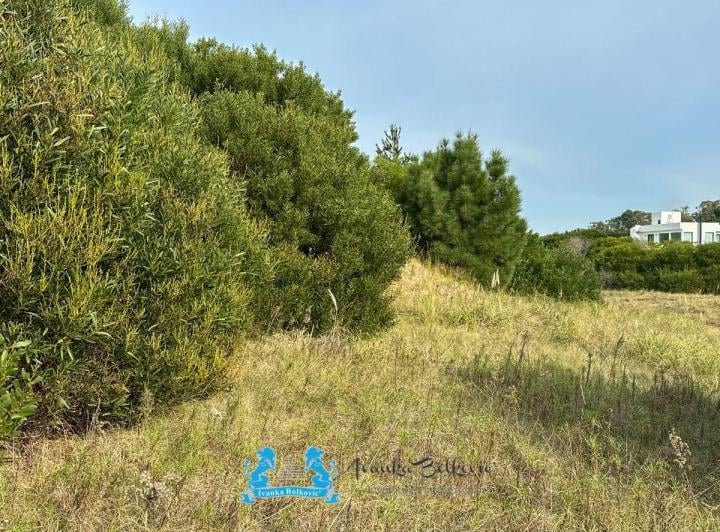 Terreno · 976m²
