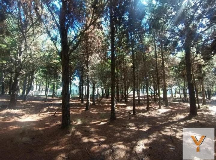 Terreno · 1000m²