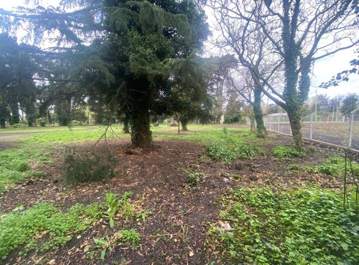 Terreno · 4183m²