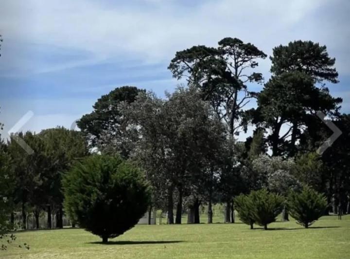 Terreno · 742m²