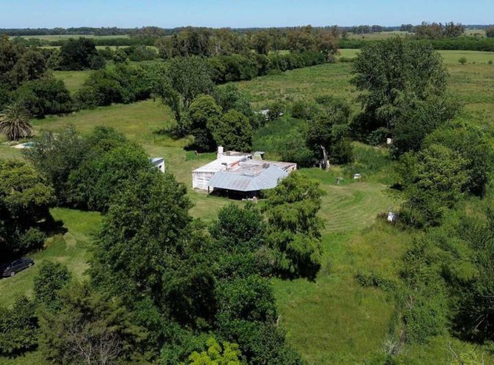 Campo · 220m²