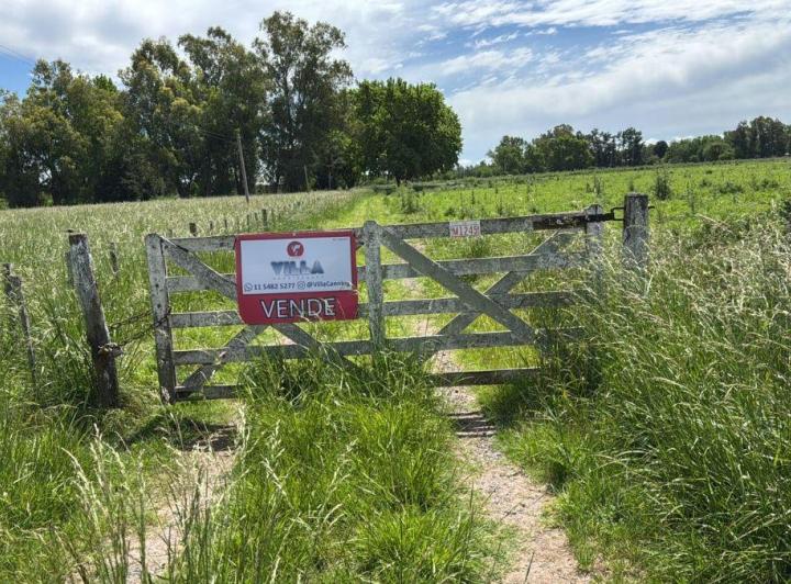 Campo · 11m²