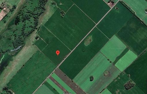 Campo · 24ha