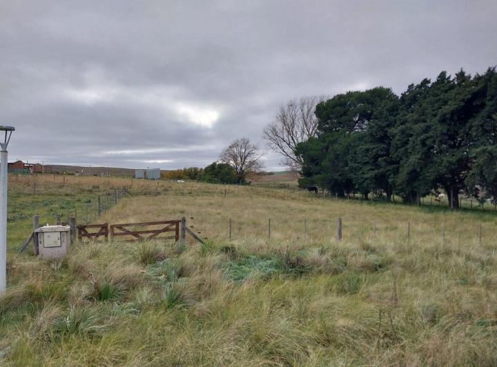 Terreno · 1000m²