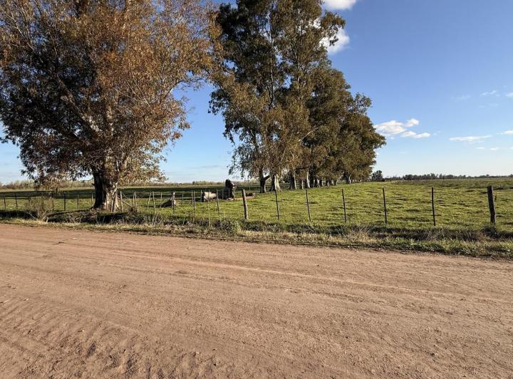 Terreno · 541m²
