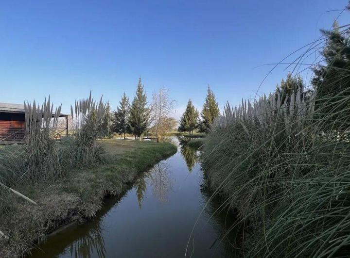 Campo · 18153m²