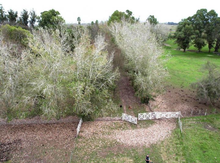 Campo · 800m²