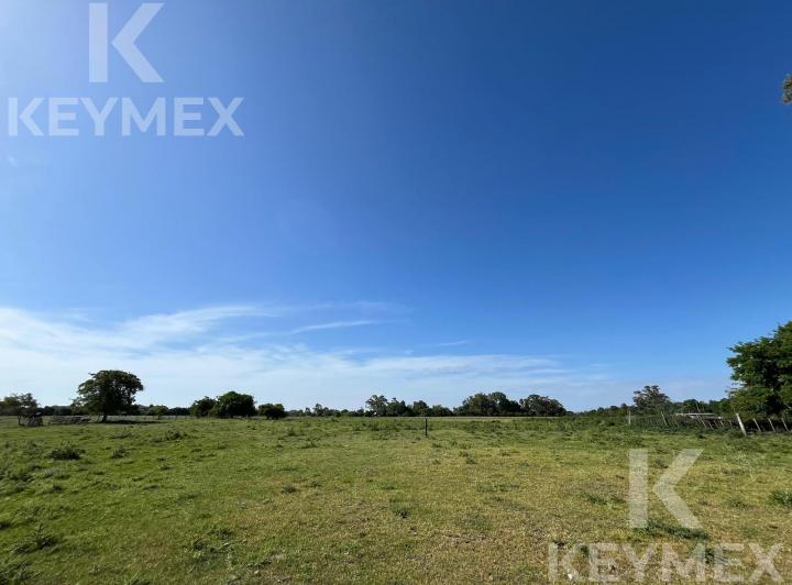 Campo · 160000m²