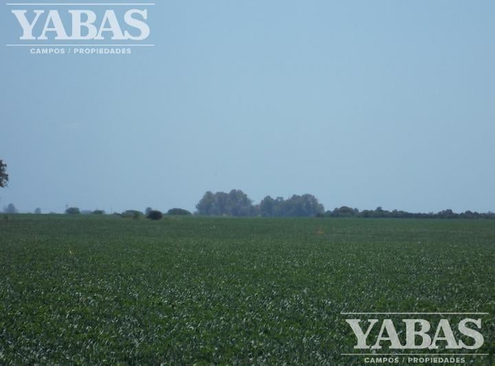 Campo · 1210000m²
