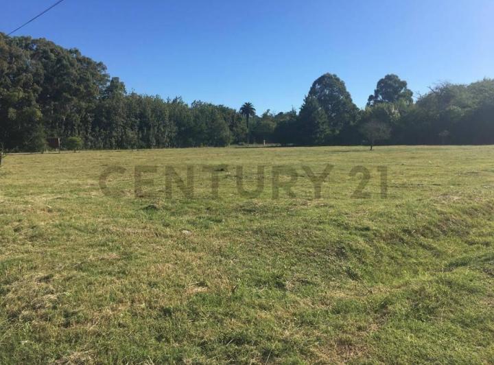 Terreno · 700m²