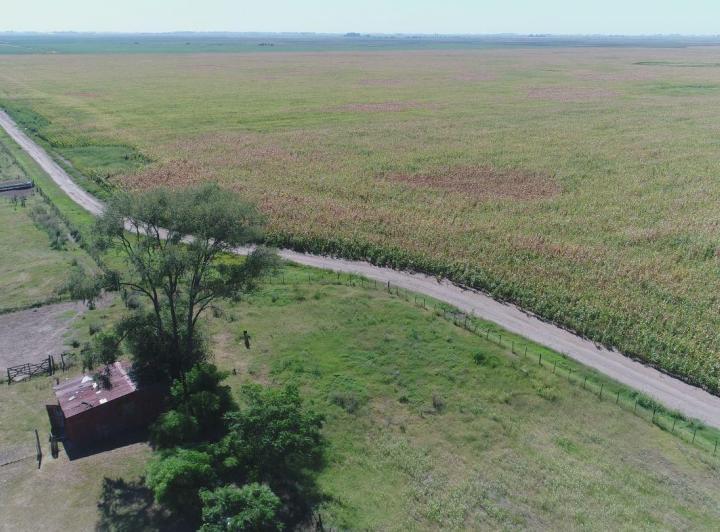 Campo · 2000m²