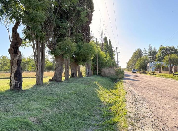 Terreno · 378m²
