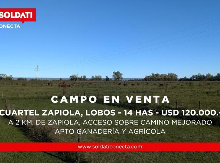 Campo · 140000ha