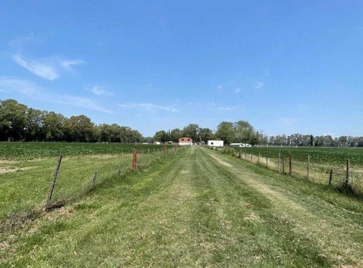 Campo · 4394ha