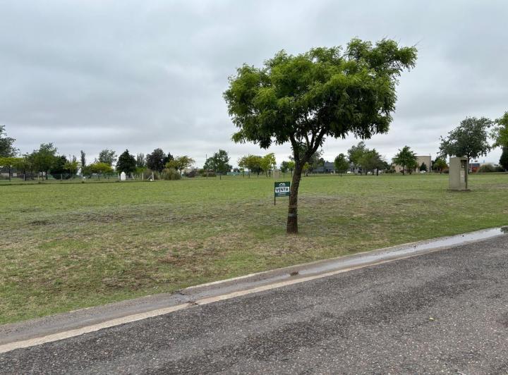 Terreno · 1000m²