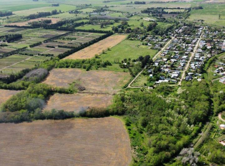 Campo