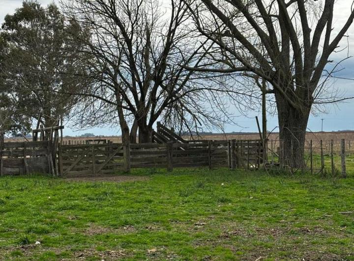 Terreno · 100m²