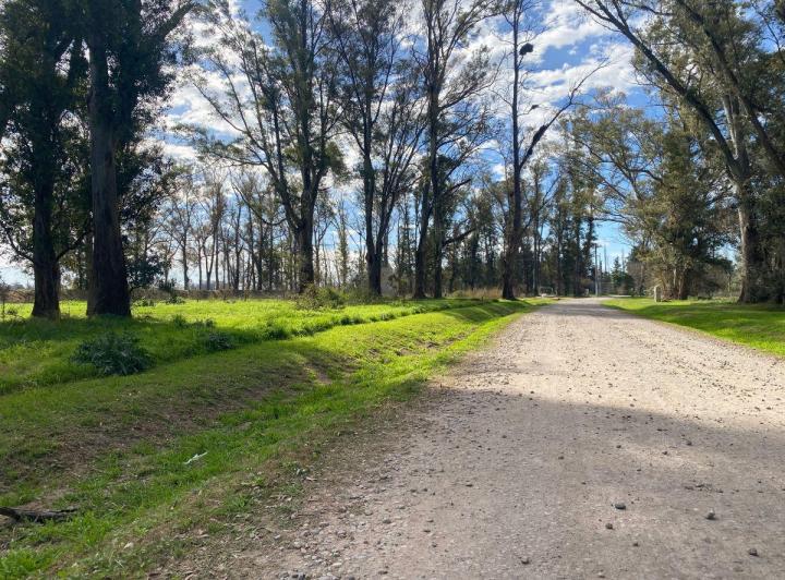 Terreno · 2800m²