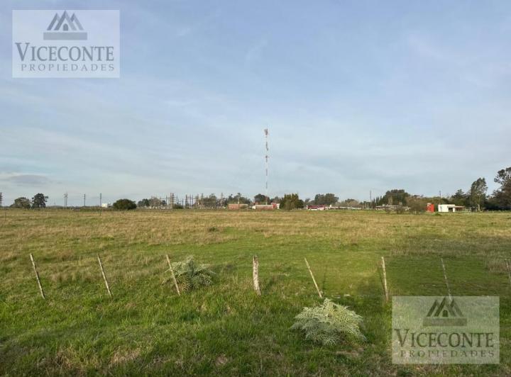 Terreno · 10000m²