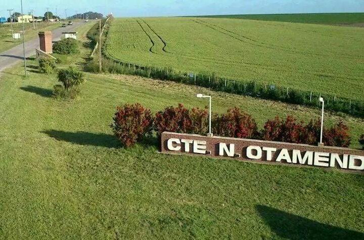 Campo · 10000ha