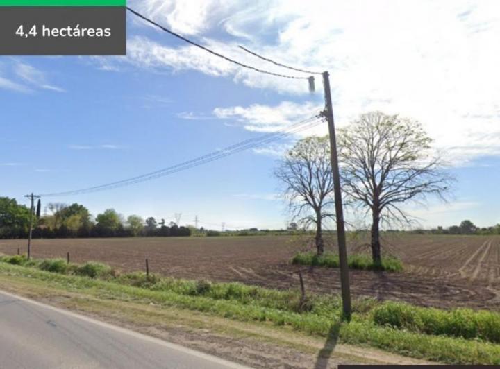 Campo · 440000ha