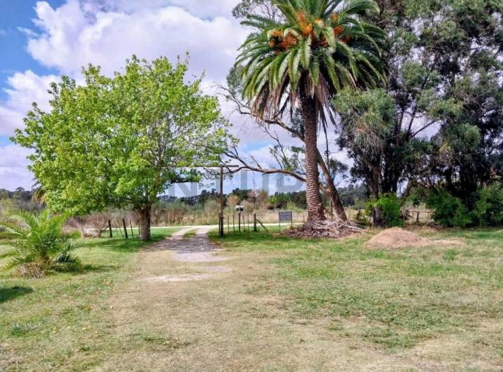 Campo · 50m²