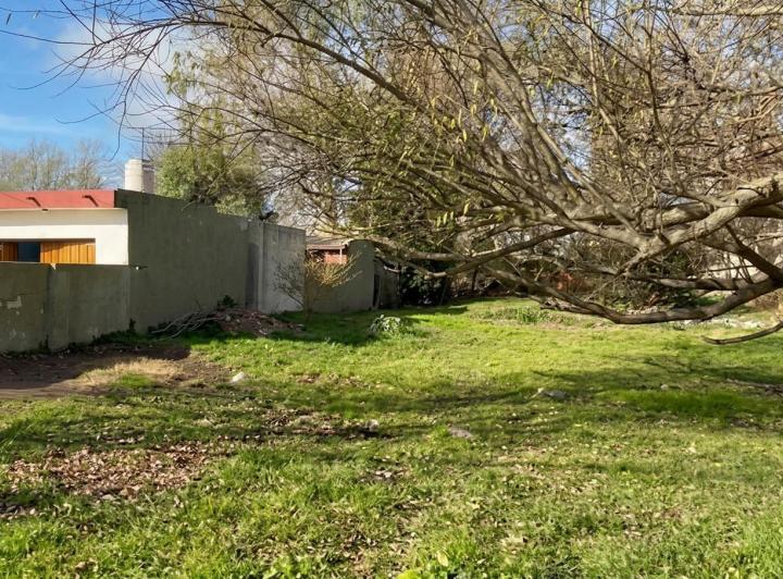 Terreno · 716m²